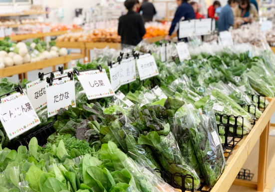 ぎっしり並べられた葉物野菜